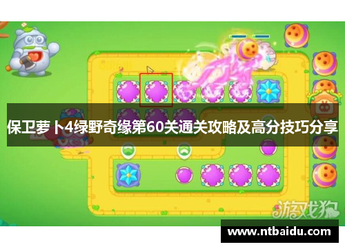 保卫萝卜4绿野奇缘第60关通关攻略及高分技巧分享