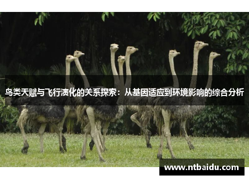 鸟类天赋与飞行演化的关系探索:从基因适应到环境影响的综合分析