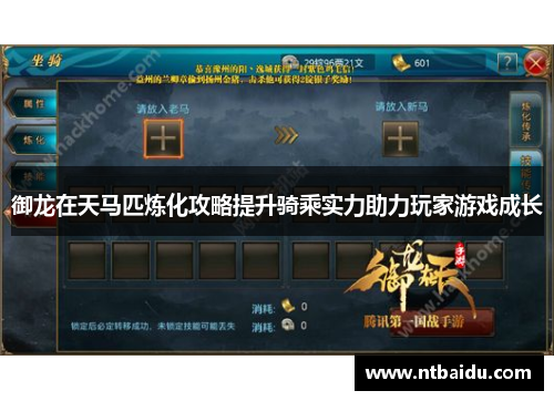 御龙在天马匹炼化攻略提升骑乘实力助力玩家游戏成长